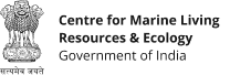 IITM image